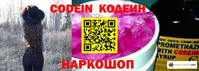 соль ск Обь