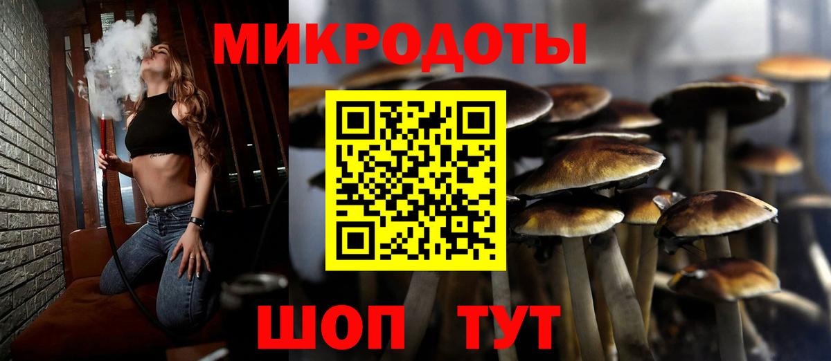 Галлюциногенные грибы мицелий  Вход с VPN  Черняховск 